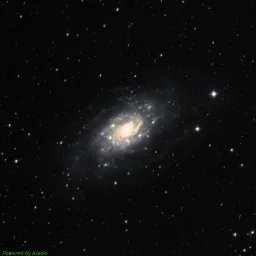 NGC2403 — composite color image