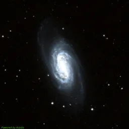NGC2903 — composite color image