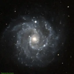 NGC3184 — composite color image