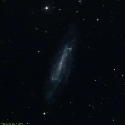 NGC4236 — imagem composta a cores