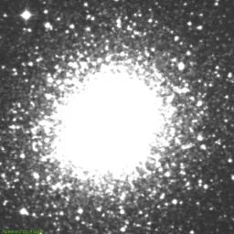 M2 — near-infrared image