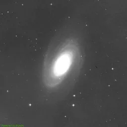 M81 — near-infrared image