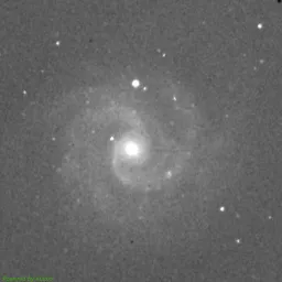 NGC3184 — near-infrared image