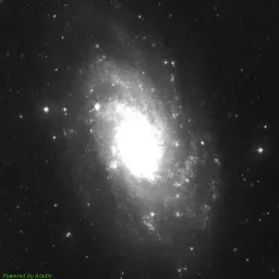 M33 — red-filter image