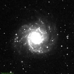 M74 — red-filter image