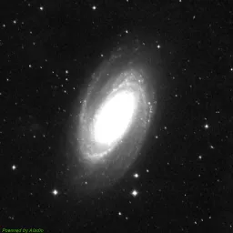 M81 — red-filter image
