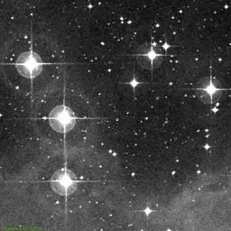 NGC1981 — red-filter image