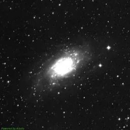 NGC2403 — red-filter image