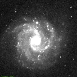 NGC3184 — red-filter image