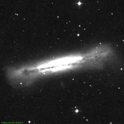 NGC3628 — red-filter image