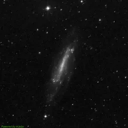 NGC4236 — imagem com filtro vermelho